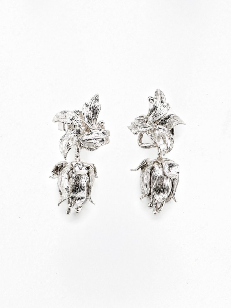 Vallis Earrings Silver