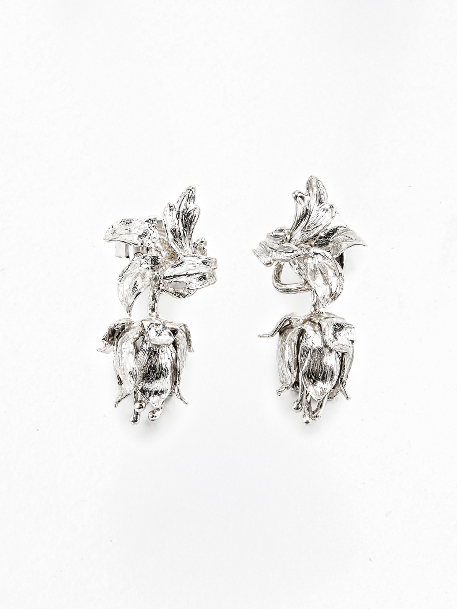 Vallis Earrings Silver